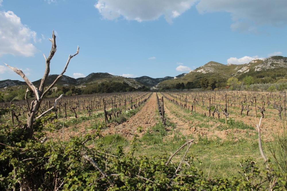 Expert agricole à Eyguières 
